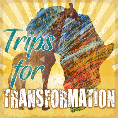 Trips for Transformation poster